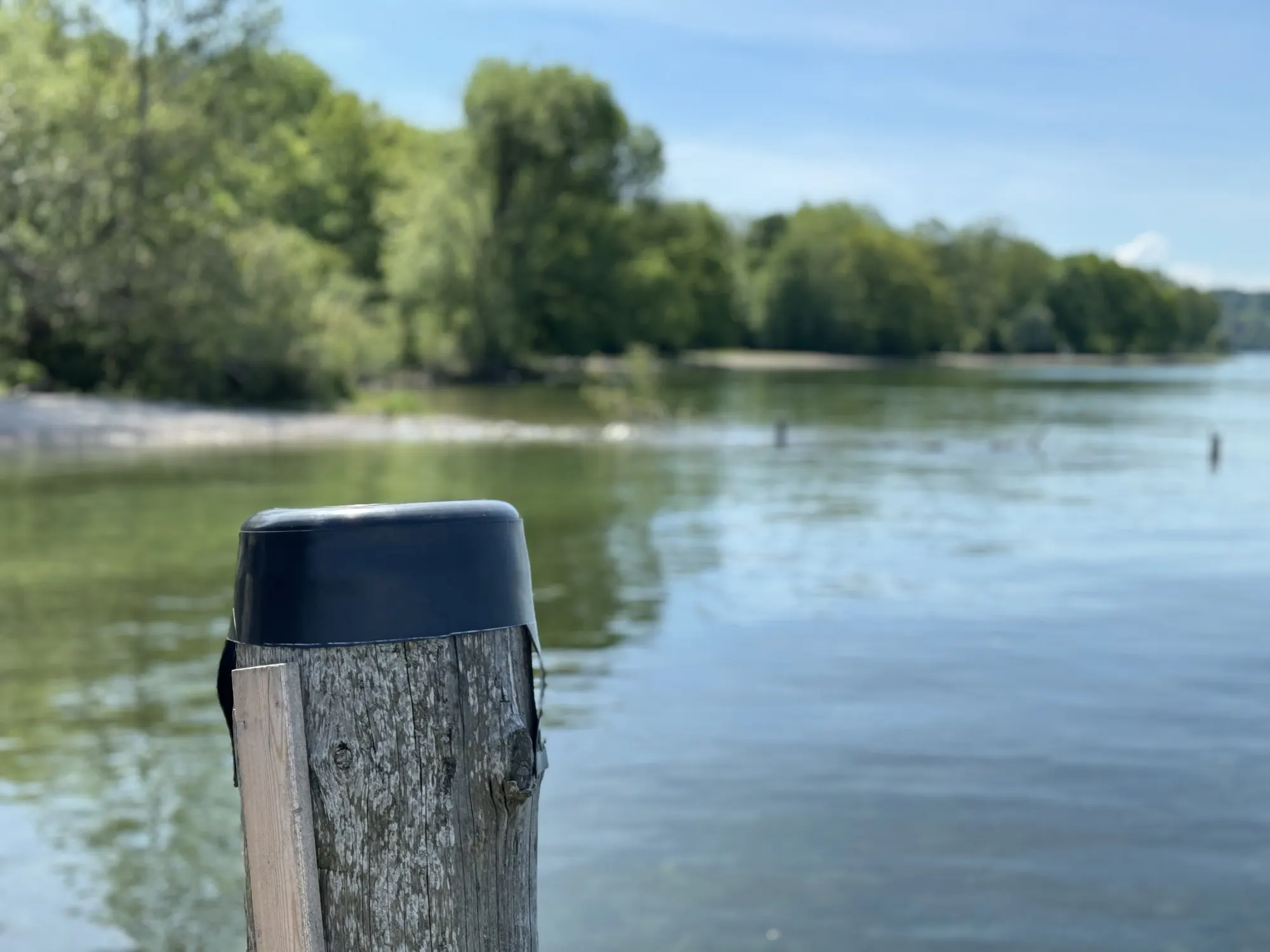 Holzpfosten mit schwarzer Kappe am Ufer eines Sees, im Hintergrund Bäume und blauer Himmel