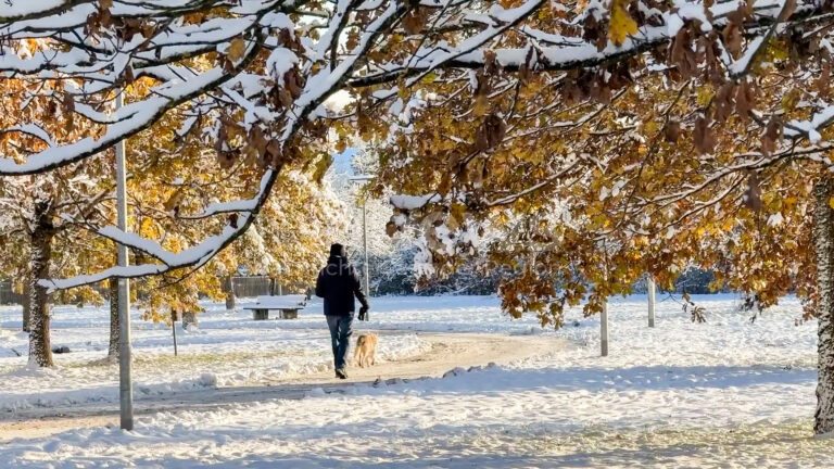 Der Winter hat in München Einzug gehalten. In der Nacht auf Freitag (22.11.2024) fielen in der Landeshauptstadt etwa zehn Zentimeter Neuschnee.