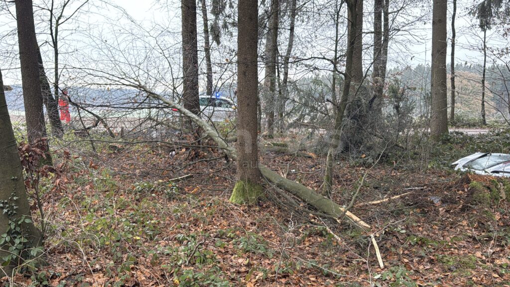 PAF8 bei Gerolsbach – Schwerer Unfall am Montag (02.12.2024): 21-Jähriger prallte mit 150 km/h gegen Baum. Feuerwehr befreite ihn. Polizei sucht Zeugen