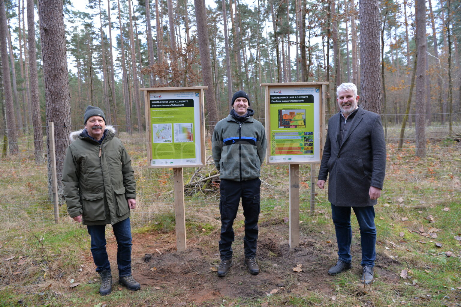 🌳 LAUF AN DER PEGNITZ – Der Laufer Stadtwald wird klimafit gemacht. Neue Baumarten, der „Klimabahnhof“ und engagierte Förster sichern die Zukunft des Waldes.