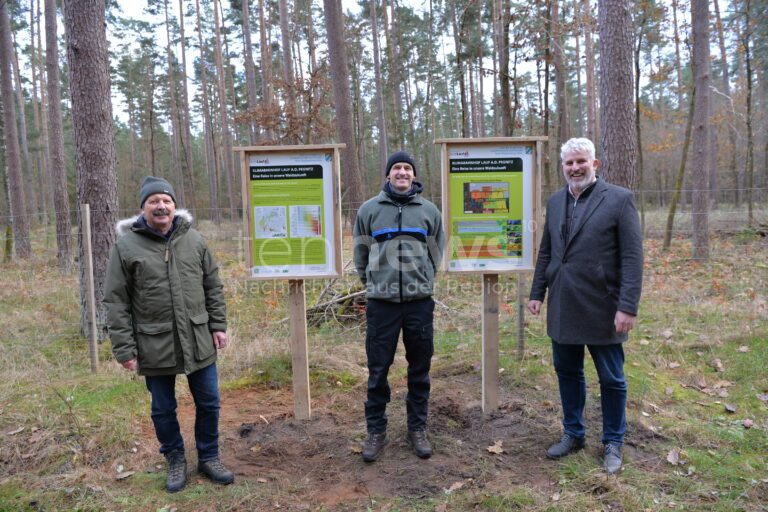 🌳 LAUF AN DER PEGNITZ – Der Laufer Stadtwald wird klimafit gemacht. Neue Baumarten, der „Klimabahnhof“ und engagierte Förster sichern die Zukunft des Waldes.