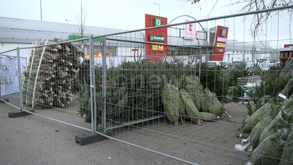 SCHROBENHAUSEN – Knapp 40 Christbäume gestohlen – Täter schlagen an Verkaufsstand und Privatgrundstück zu. Polizei bittet um Hinweise Gesamtschaden: 1.500 Euro.