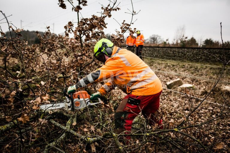 🌿 TUTZING–KOCHEL: Deutsche Bahn startet ab 7. Januar 2025 Vegetationsarbeiten 🚧. Rückschnitt für sichere Gleise, abgestimmt mit Naturschutzbehörden.