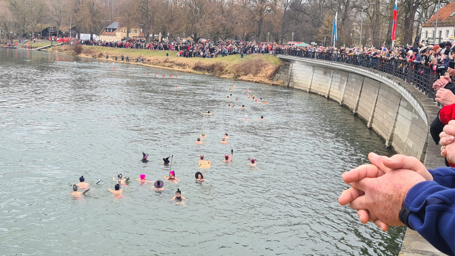 NEUBURG AN DER DONAU – 1.859 Teilnehmer beim 54. Donauschwimmen am Samstag (25.01.2025) . 79 Eisschwimmer trotzen 4 Grad kaltem Wasser. Sicherheit im Fokus!