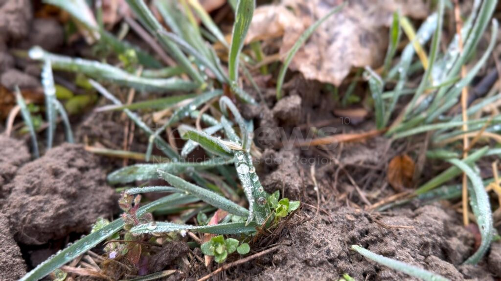 BAYERN – Nach dem Frühlings-Intermezzo bringt eine Kaltfront Schnee, Frost und Glätte. In der Nacht zum Donnerstag (14.03.2025) sinkt die Schneefallgrenze