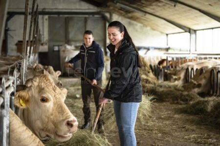 BAYERN – Samstag (24.05.2025) öffnet die Landwirtschaft ihre Tore: Beim Aktionstag „Landwirt für einen Tag“ können Teilnehmer das Hofleben erleben